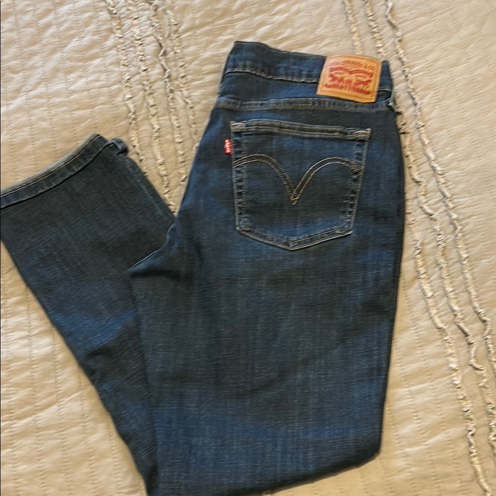 Levi's Men's Blue Jeans